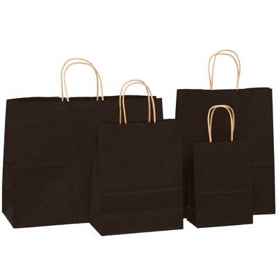 Sacosa kraft neagra 22x23 BO7539S102 - Green Print