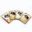 Carnetel insertie foto Roma NBRO - Green Print