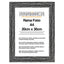 Rama foto Leon negru A4 FP08619A4 - Green Print