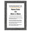 Rama foto Leon negru A3 FP08619A3 - Green Print