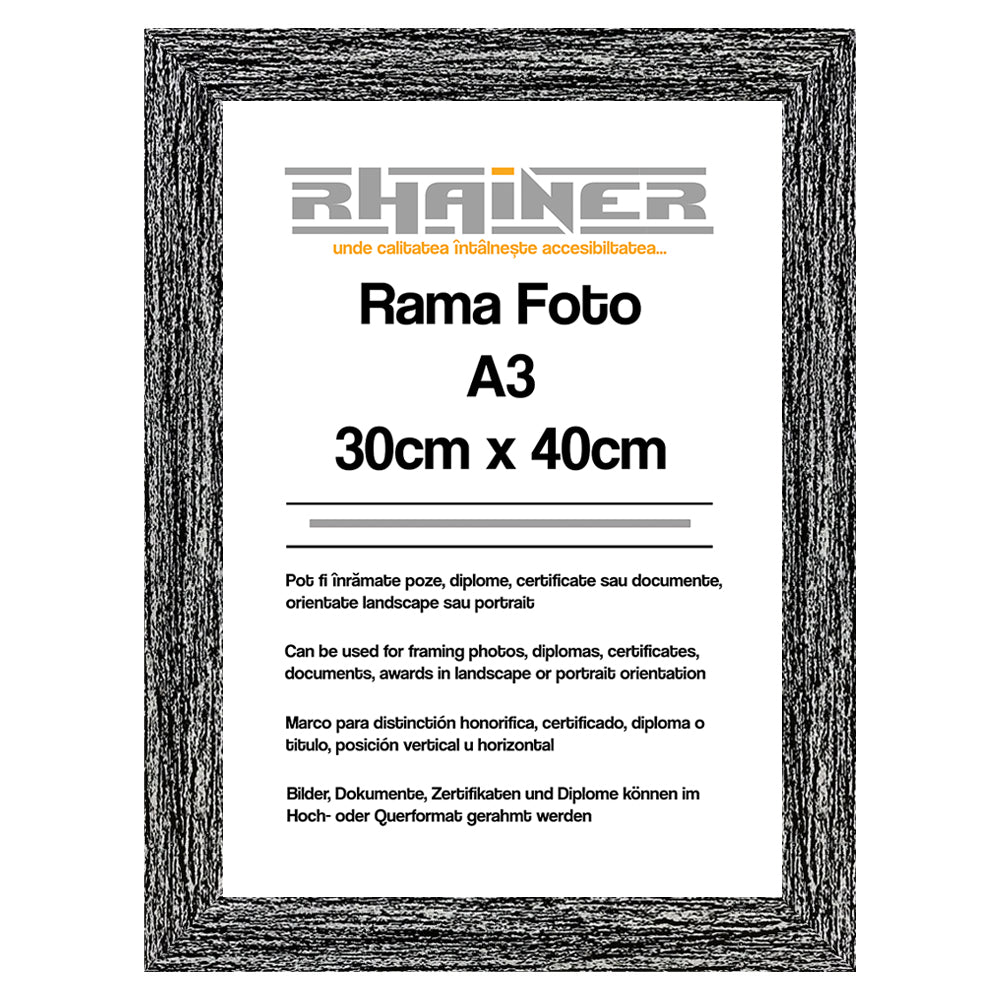 Rama foto Leon negru A3 FP08619A3 - Green Print