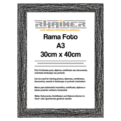 Rama foto Leon negru A3 FP08619A3 - Green Print