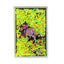 Glob foto magnetic dreptunghi 9x6 GL960 - Green Print