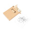 Set promotional de colorat HW8049S129 - Green Print