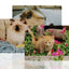 Puzzle A4 sublimabil PZ-A4 - Green Print