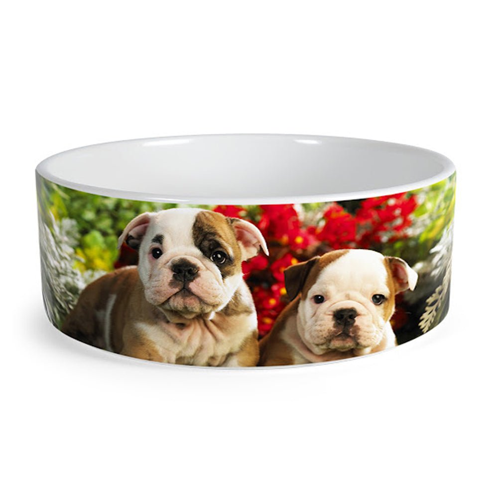 Bol ceramica pentru caine sublimabil B4D - Green Print