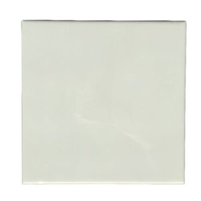 Faianta sublimabila 10x10 FA1010 - Green Print
