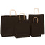 Sacosa kraft neagra 25x31 BO7538S102 - Green Print
