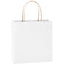 Sacosa kraft alba 22x23 BO7539S101 - Green Print