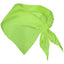 Esarfa triunghiulara sublimabila PN900369 - Green Print