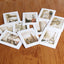 Set rame foto ghirlanda alb FC257801 - Green Print
