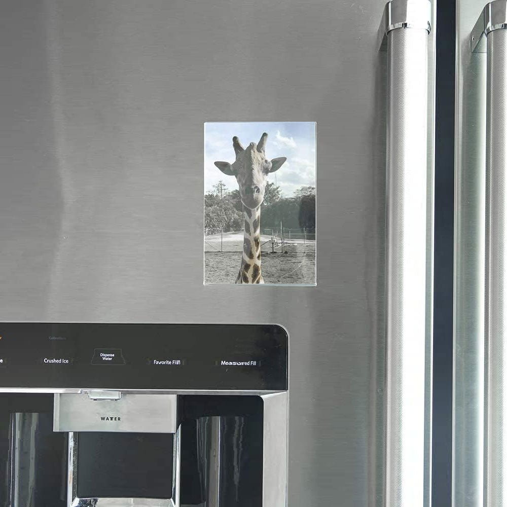 Rama foto magnetica din plastic HP377205 - Green Print