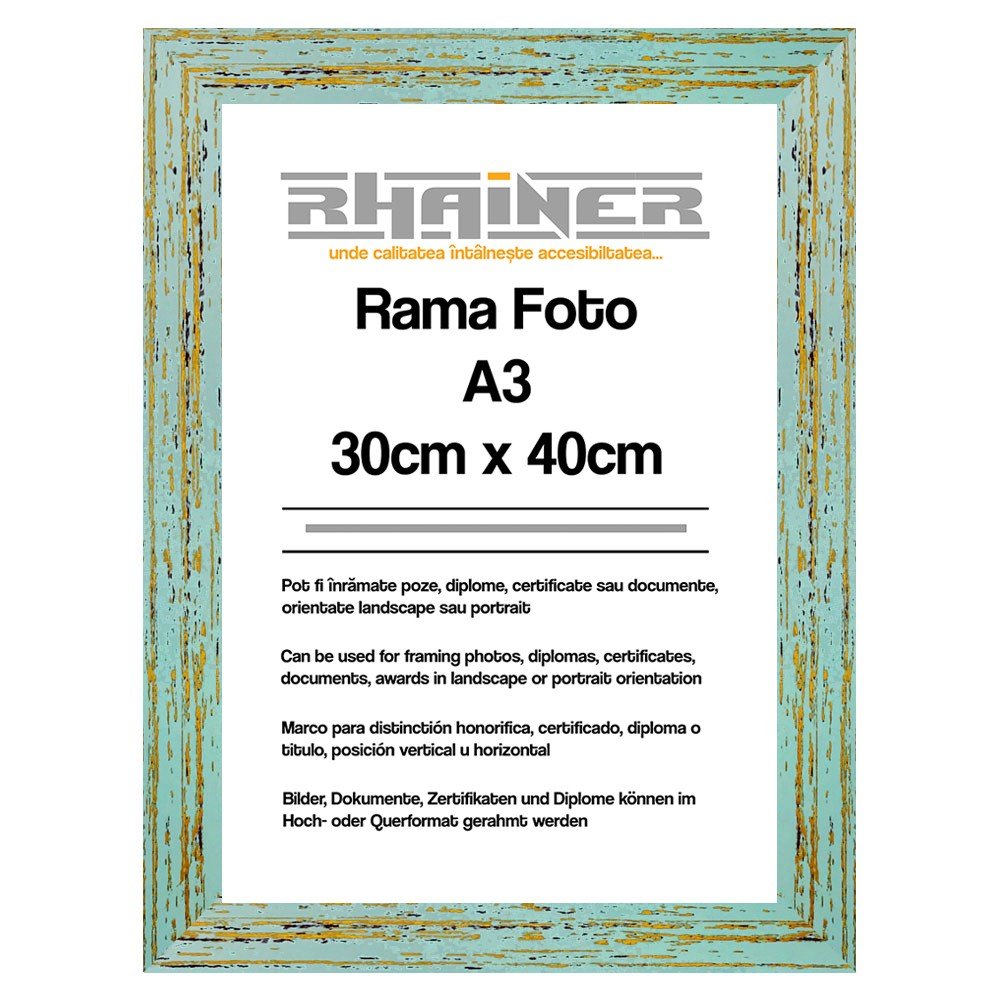 Rama foto Leon albastru deschis A3 FP08615A3 - Green Print