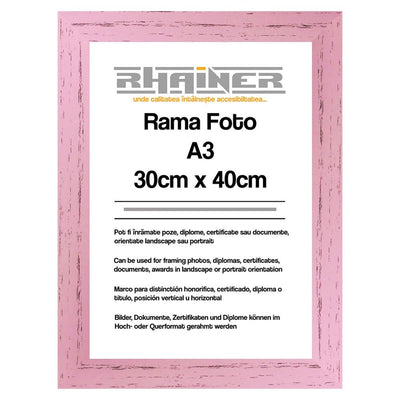 Rama foto Leon roz A3 FP08613A3 - Green Print