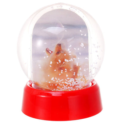 Glob foto Sfera cu zapada GL523108 - Green Print