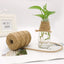 Rola sfoara iuta medie 4mm x 35m IT502338 - Green Print