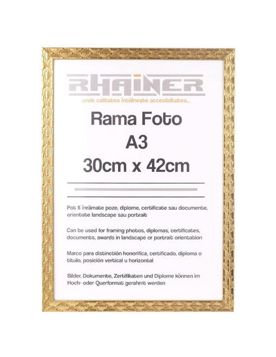 Rama foto Leon auriu texturat A3 FP086A352 - Green Print