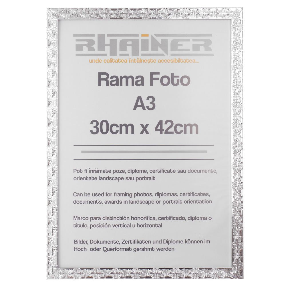 Rama foto Leon argintiu texturat A3 FP08622A3 - Green Print