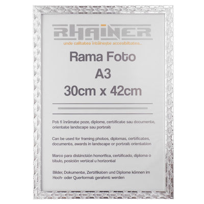 Rama foto Leon argintiu texturat A3 FP08622A3 - Green Print