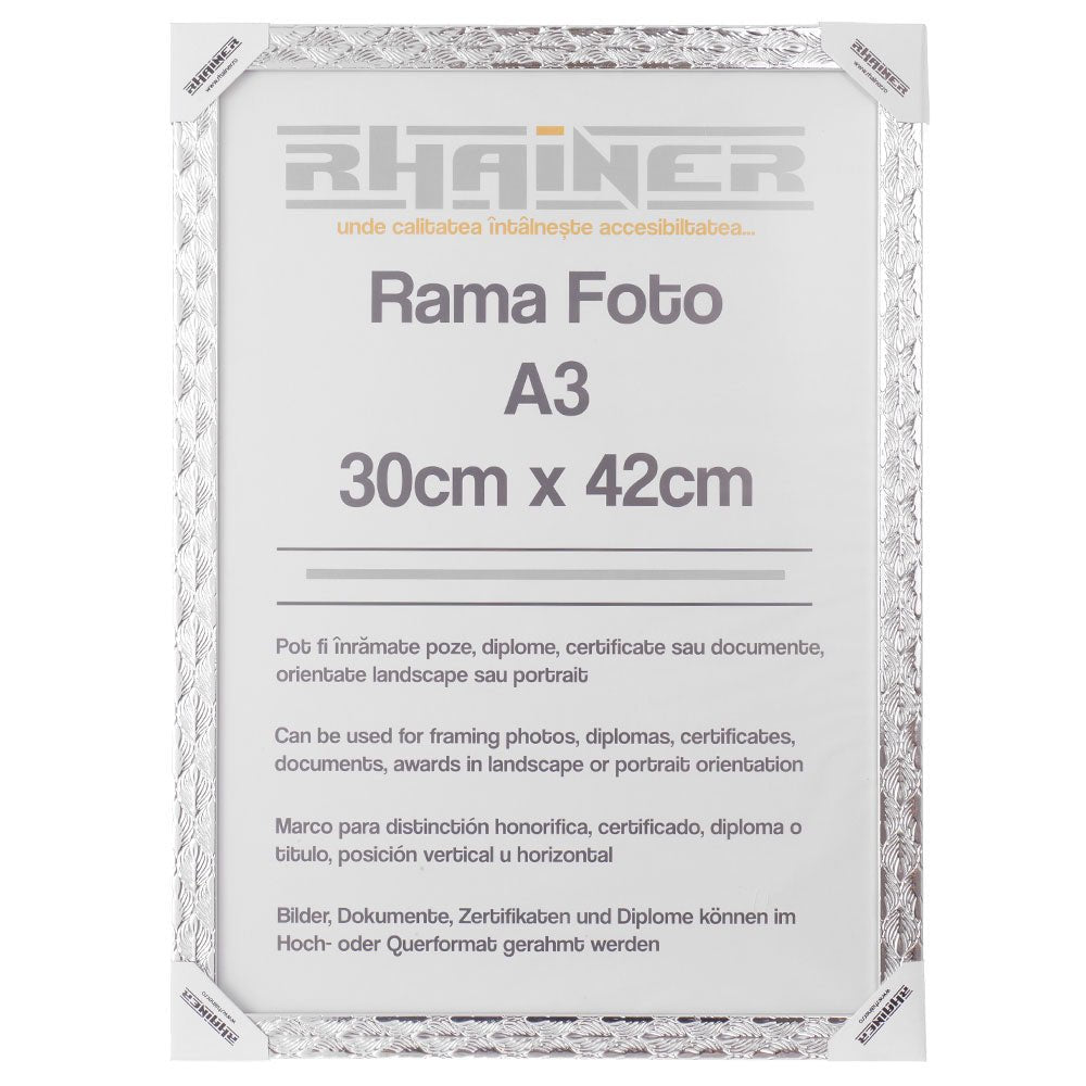 Rama foto Leon argintiu texturat A3 FP08622A3 - Green Print