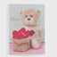 Album foto TEDDY2 100 poze 10x15